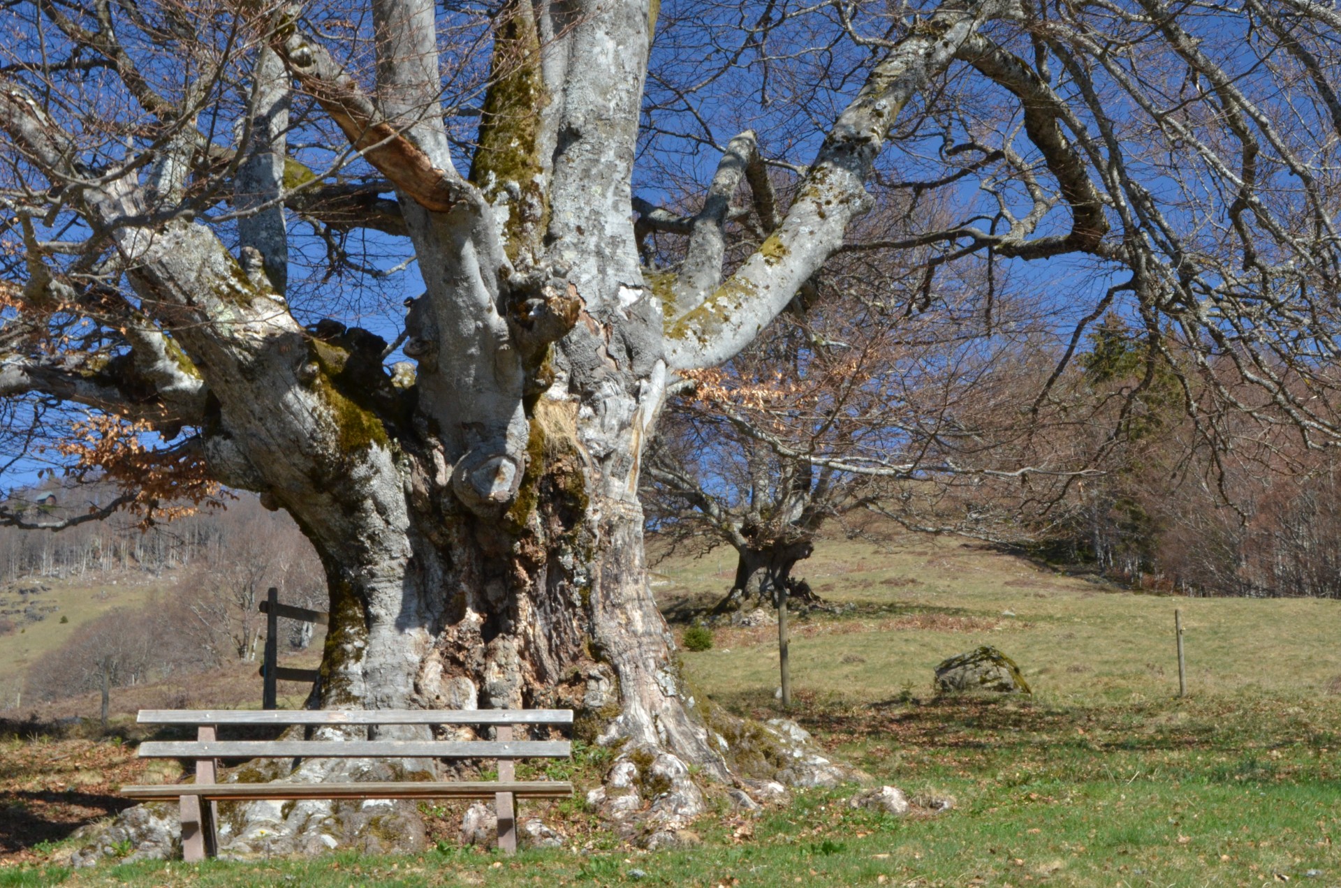 DSC_5525.JPG
